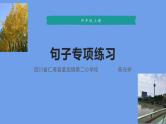 统编版语文四年级上册期末复习《句子专项练习》课件
