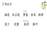 统编版（2024）五年级语文上册3桂花雨第1课时课件1