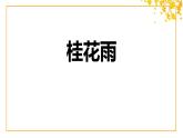 统编版（2024）五年级语文上册3桂花雨课件4
