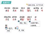 统编版（2024）五年级语文上册4珍珠鸟课件3