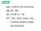 统编版（2024）五年级语文上册4珍珠鸟课件3