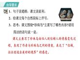 统编版（2024）五年级语文上册4珍珠鸟课件3