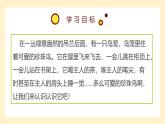 统编版（2024）五年级语文上册4珍珠鸟课件4