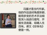 统编版（2024）五年级语文上册4珍珠鸟课件5