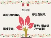 统编版（2024）五年级语文上册4珍珠鸟课件5