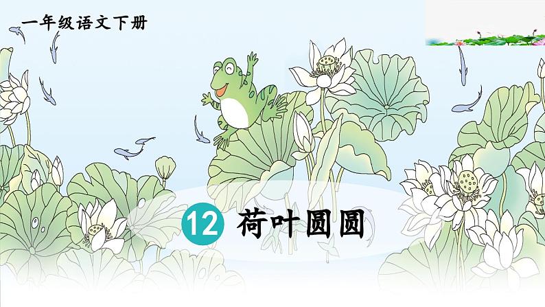 荷叶圆圆PPT第1页