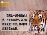 《一只窝囊的大老虎》精品课件（第二课时）