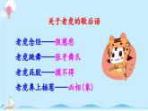 《一只窝囊的大老虎》精品课件