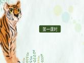 《一只窝囊的大老虎》优选课件（第一课时）