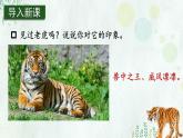 《一只窝囊的大老虎》优选课件（第一课时）