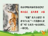 《一只窝囊的大老虎》优质课件（第一课时）