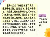 《习作：写信》优质课件（第二课时）