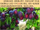 《王戎不取道旁李》优质课件（第一课时）
