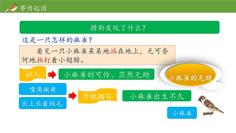 《麻雀》名师课件（第二课时）第7页