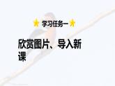 第25课 《灰雀》 -2024-2025学年三年级语文上册同步精品课件（统编版）
