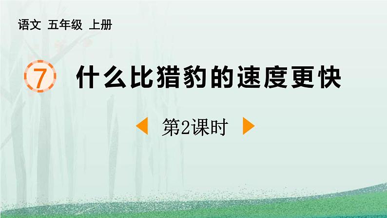 统编版（2024）五年级语文上册7什么比猎豹的速度更快第2课时课件1第1页