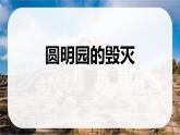 统编版（2024）五年级语文上册14圆明园的毁灭课件5