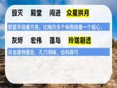 统编版（2024）五年级语文上册14圆明园的毁灭课件5