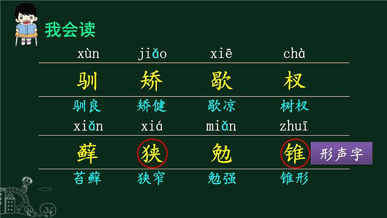 统编版（2024）五年级语文上册17松鼠课件3第5页