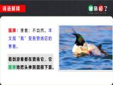 统编版（2024）五年级语文上册20“精彩极了”和“糟糕透了”课件5