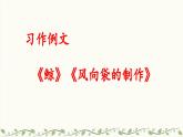 《习作例文：《鲸》《风向袋的制作》》教学课件2