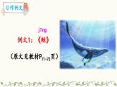 《习作例文：《鲸》《风向袋的制作》》教学课件2