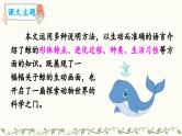 《习作例文：《鲸》《风向袋的制作》》教学课件2