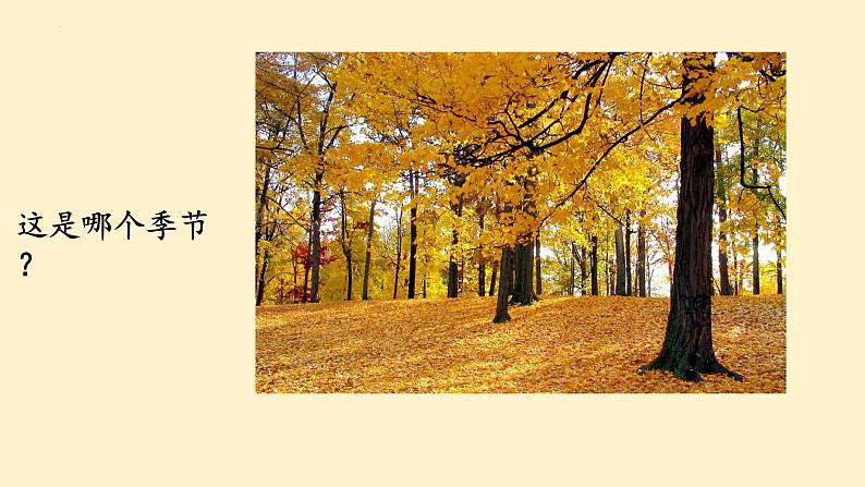 2024年秋一年级上册1秋天 课件02