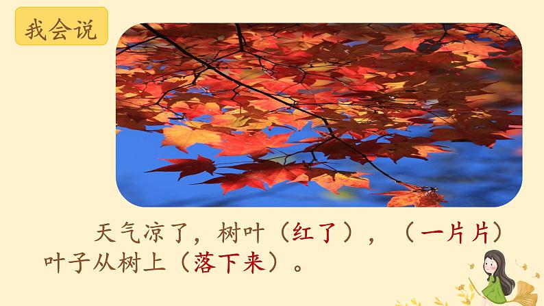 2024年秋一年级上册1秋天 课件05