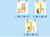 2024年秋一年级上册8 zh ch sh r 课件