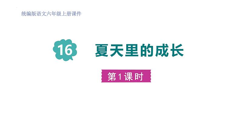 统编版（2024）六年级语文上册16夏天里的成长第1课时课件3第1页