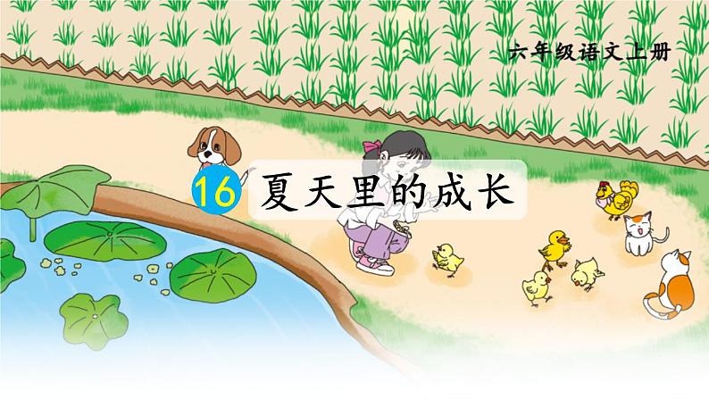 统编版（2024）六年级语文上册16夏天里的成长课件2第1页