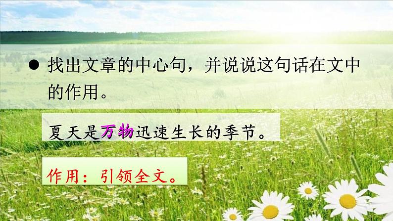 统编版（2024）六年级语文上册16夏天里的成长课件2第8页
