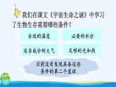 统编版（2024）六年级语文上册19只有一个地球第2课时课件1