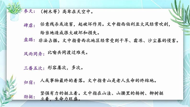 统编版（2024）六年级语文上册20青山不老课件2第8页