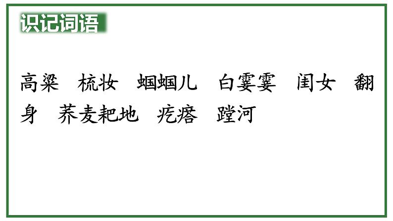 统编版（2024）六年级语文上册21三黑和土地课件5第2页