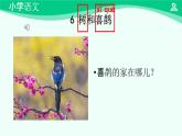树和喜鹊 课件 第一课时-2024-2025学年度小学一年级语文下册 统编版（2024）