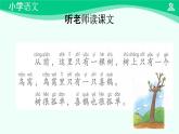 树和喜鹊 课件 第一课时-2024-2025学年度小学一年级语文下册 统编版（2024）