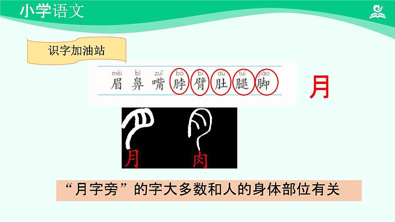 语文园地四 课件 第一课时-2024-2025学年度小学一年级语文下册 统编版（2024）第6页