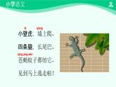 小壁虎借尾巴 课件 第一课时-2024-2025学年度小学一年级语文下册 统编版（2024）
