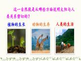 《太阳》教学课件2（第二课时）