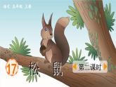 《松鼠》优质课件（第二课时）