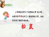 《松鼠》优秀课件（第一课时）