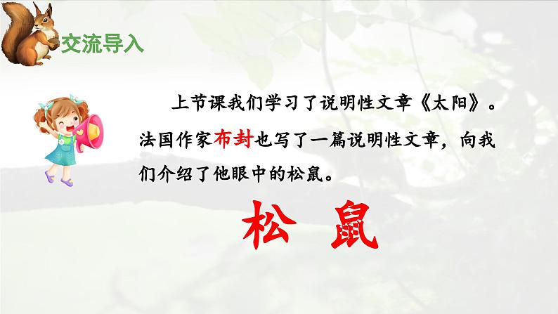 《松鼠》优秀课件（第一课时）第3页