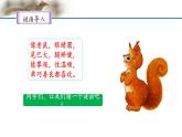 《松鼠》名师课件（第一课时）
