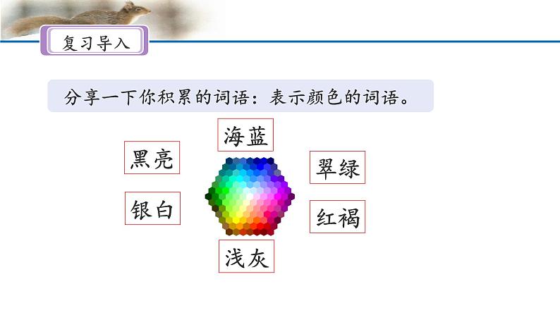 《松鼠》名师课件（第二课时）第3页