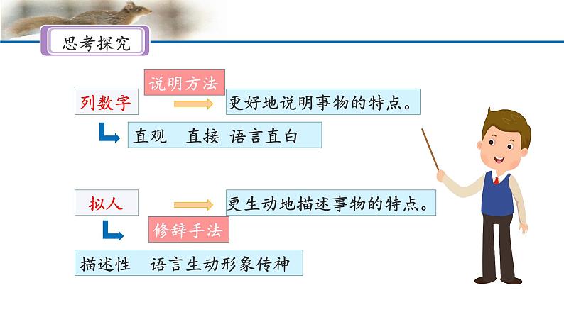 《松鼠》名师课件（第二课时）第7页