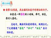 《松鼠》教学课件2（第二课时）