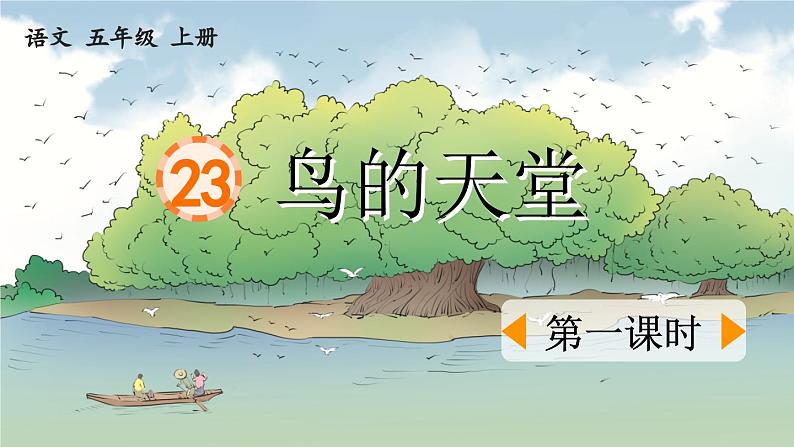 《鸟的天堂》优质课件（第一课时）第1页