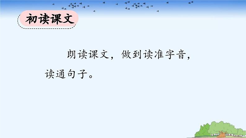 《鸟的天堂》优质课件（第一课时）第6页